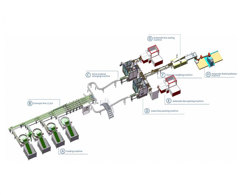 Maschine zum Verpacken von Lebensmitteln